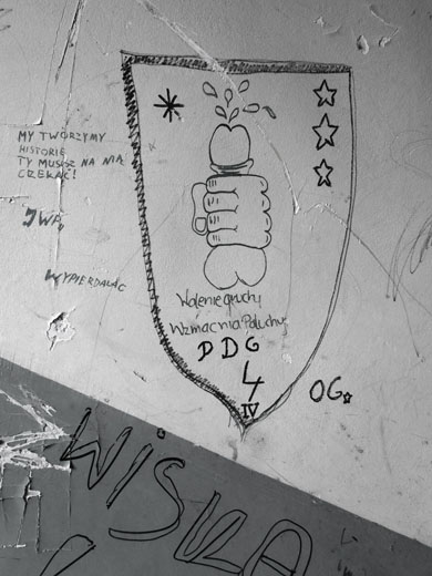 Opuszczone domy, Podgrze, Krakow, 2016